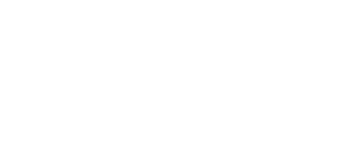 Cyro Martins